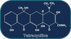 Figure 1. Tetracycline Figure 1. Tetracycline