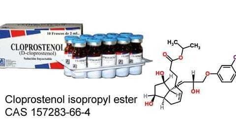 Cloprostenol isopropyl ester