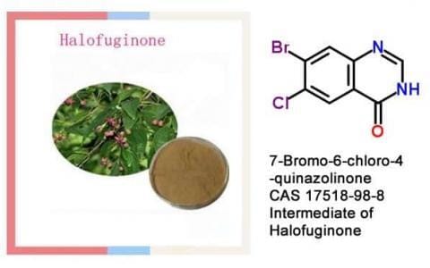 7-Bromo-6-chloro-4-quinazolinone