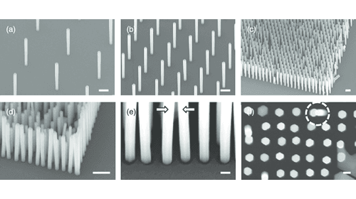 Polyberg Develops and Scales up Silver Nanowire (Agnw)