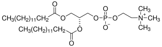 strucutre of Dimyristoyl phosphatidylcholine