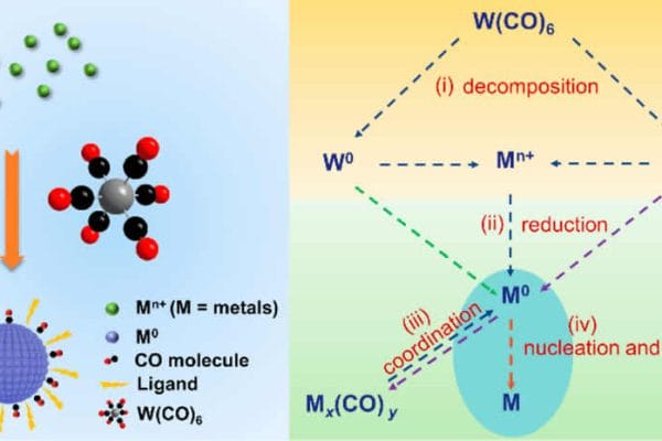 W(CO)6 and Cr(CO)6