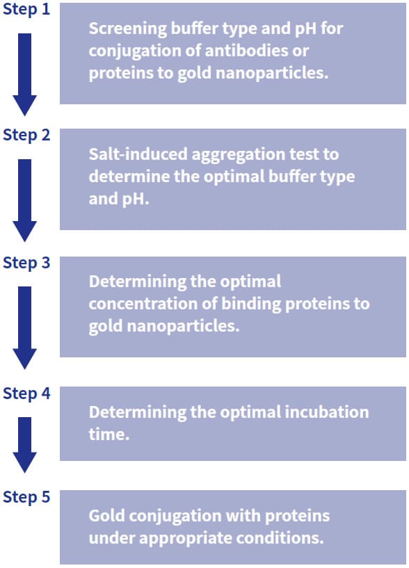 Gold Conjugation Flow Chart Gold Conjugation Flow Chart