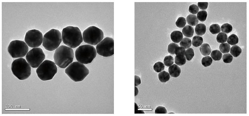 The monodisperse gold nanoparticles (Left: WI-60, Right: WI-40) with a consistent, spherical shape. The monodisperse gold nanoparticles (Left: WI-60, Right: WI-40) with a consistent, spherical shape.