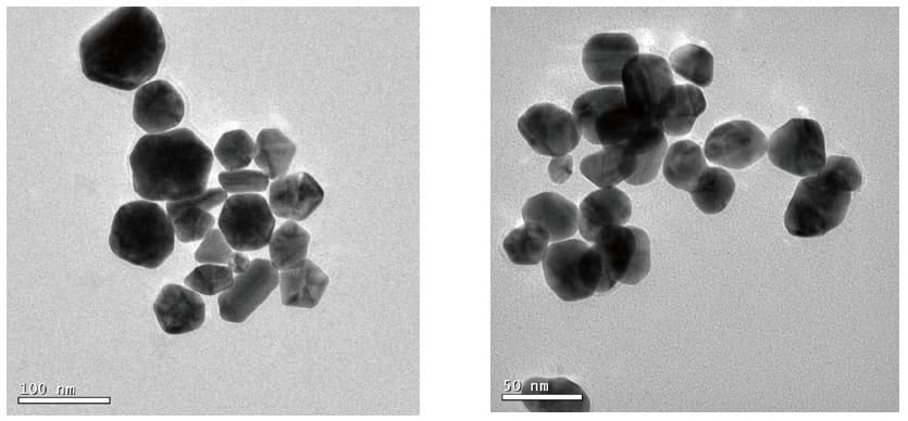 The polydisperse gold nanoparticles ( Left: 60nm, Right: 40nm) with uneven sizes and irregular shapes. The polydisperse gold nanoparticles ( Left: 60nm, Right: 40nm) with uneven sizes and irregular shapes.