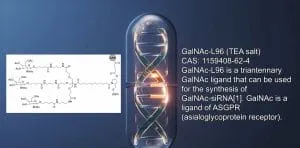 GalNAc-L96 – A Key Molecule for Efficient RNA Targeted Delivery – FCAD ...