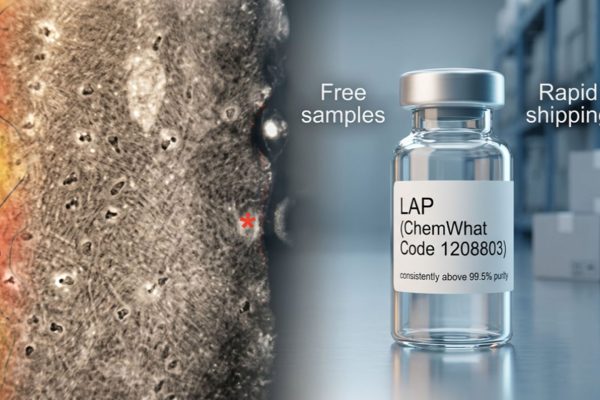 Why the Photoinitiator LAP Became the De Facto Standard for Hydrogels, GelMA, and Bioprinting: Balancing Efficiency, Safety, and Water Solubility